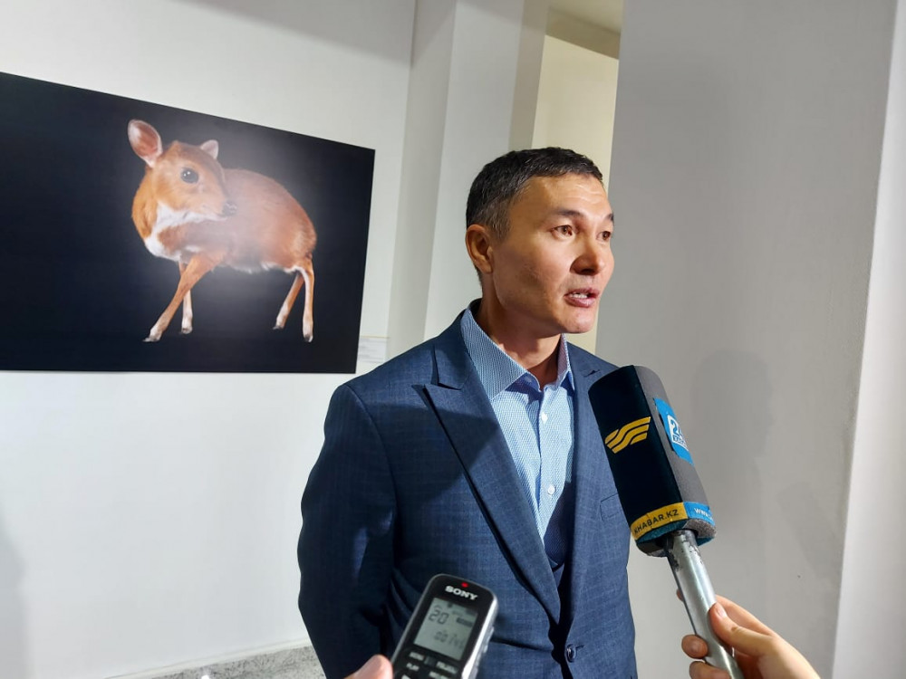 Қалыңдық фотоны алады Интернеттегі ауызша секс порно